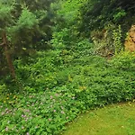 Holiday home Les Trois Grottes Barbonval