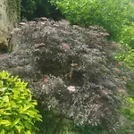 Holiday home Les Trois Grottes Barbonval