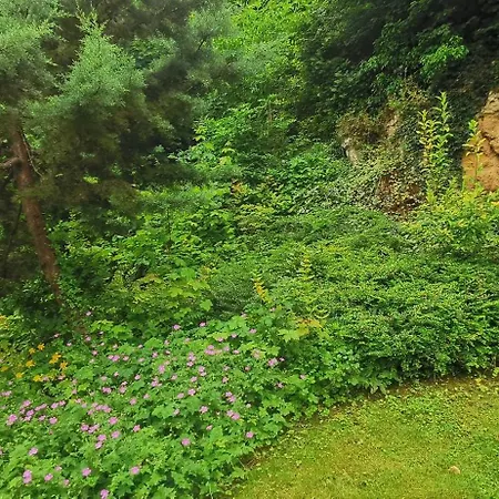 Сasa de vacaciones Les Trois Grottes Barbonval
